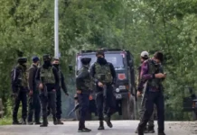 Ammunition Cache Recovered from Hideout in North Kashmir