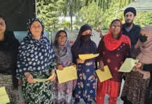 Ayushman Bharat, Golden Cards