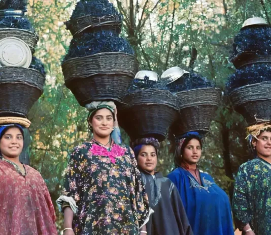 Is Kashmir Rewriting India’s Gender Story? Kashmir women, Kashmir winter