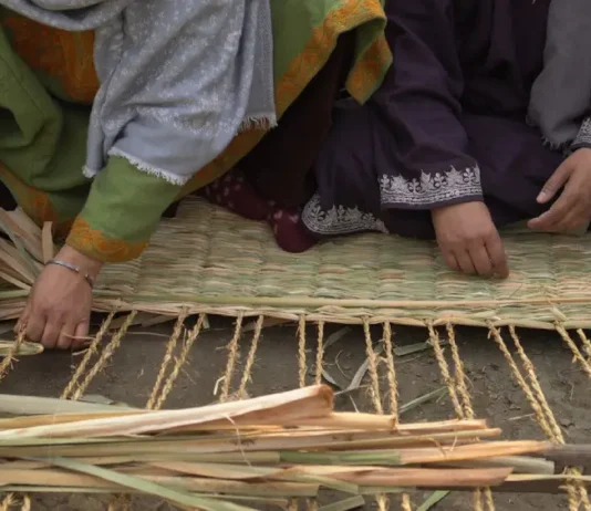 PM Modi Highlights Kashmir’s Traditional Wagoov in Mann Ki Baat