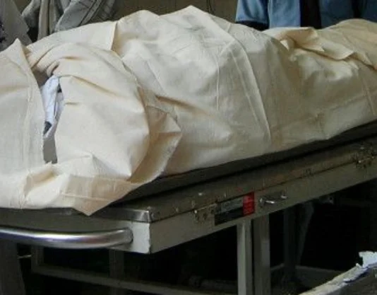 PDD Worker Dies After Falling From Electric Pole in North Kashmir