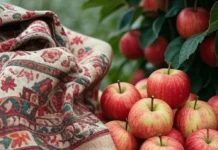 Will Financial Innovation Finally Break Kashmir’s Cycle of Inventory Crises in Apples and Crafts?