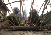 Wagoov: Reviving Kashmir’s Fading Mat Tradition