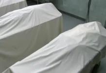 South Kashmir: Tourist Couple Killed in Road Mishap