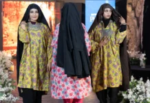 Kashmir: The Pheran Economy