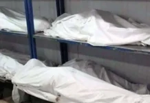 Bridge Collapse in Jammu: Three Workers Killed, One Rescued