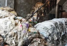 Kashmir’s Hides of Decline