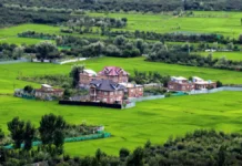 Can Jammu and Kashmir’s Mountains Survive Unchecked Development?
