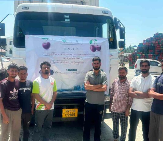 Kashmir’s Cherries and Plums Go Global
