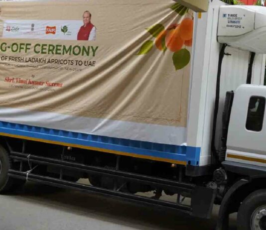 Lieutenant Governor Vinai Kumar Saxena flags off Ladakh's first fresh apricot consignment to the UAE, launching an export drive targeting over 1,000 metric tonnes this harvest season