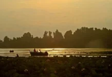 Water Chemistry Determines Where Fish Thrive in Manasbal Lake, Kashmir Study Finds