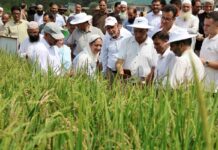 SKUAST-K Showcases 80 Years of Rice Research, Kashmir’s Temperate Biodiversity