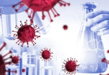 West Nile Virus Cases Reach 10 in Israel, 70-Year-Old Dies