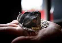Seven Apprehended in South Kashmir Over Suspected ‘Trath Gola’ Sale