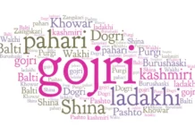 Jammu Kashmir Govt to Expand Official Languages List