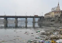Are Microplastics Contaminating Kashmir’s Lakes, Rivers and Food Fish?