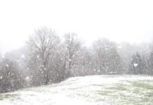 Light Rain, Snow Likely in Parts of Jammu Kashmir