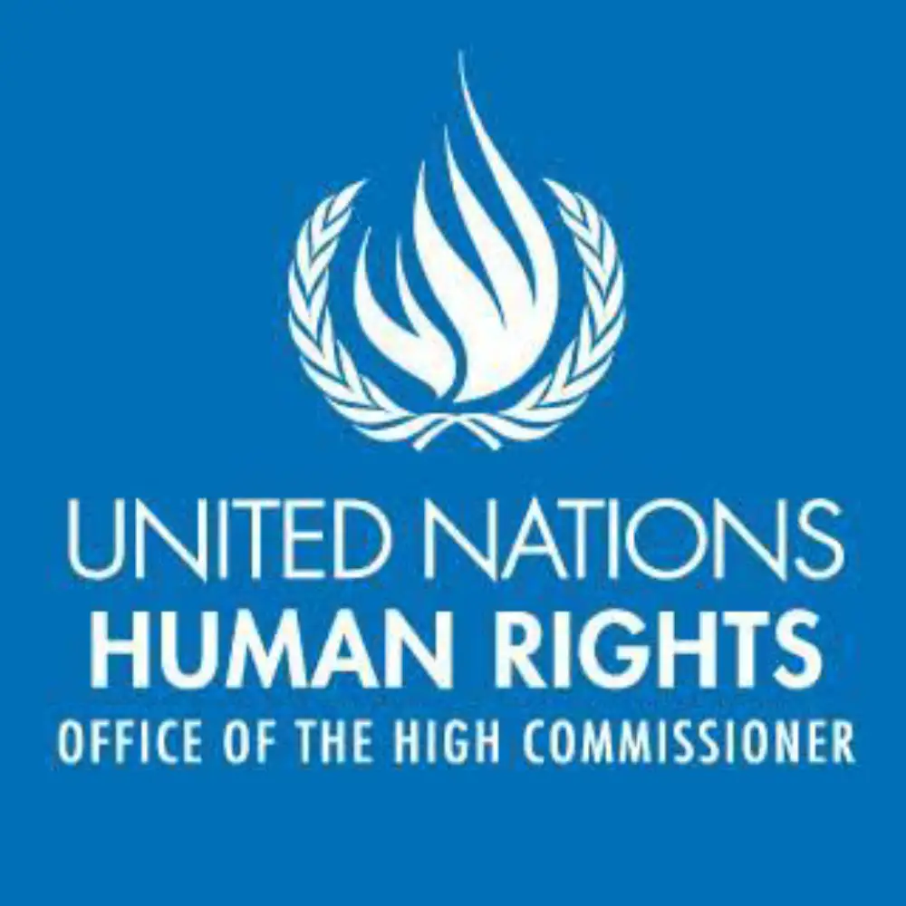 UN Human Rights Office Urges India to Release Protesters Detained in Delhi